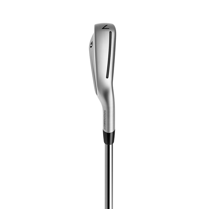 P790 - Stahl/Graphit TaylorMade
