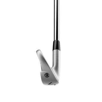 P790 - Stahl/Graphit TaylorMade