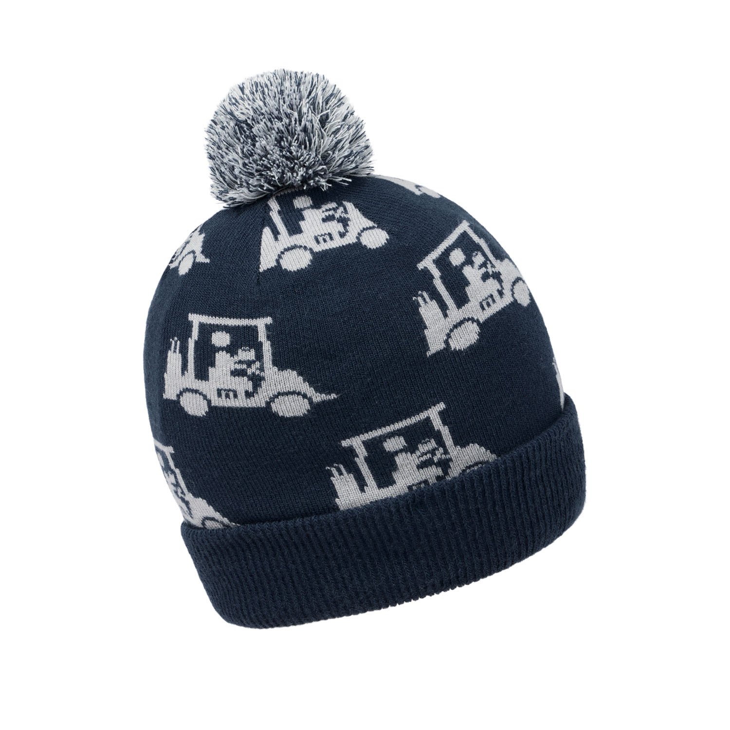 Mapes Beanie